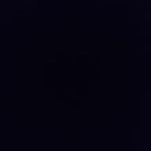 Meet your Posher, Max